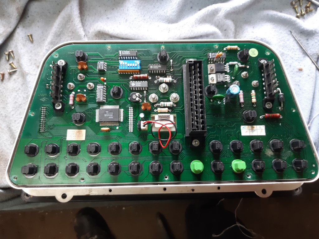 Ein Ruecken zum entzuecken